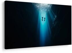 Dovido Tablou misterul oceanului adânc - 90x60
