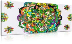 Dovido Tablou Mandala verde - 80x40