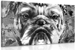 Dovido Tablou buldog în design alb-negru - 40x30
