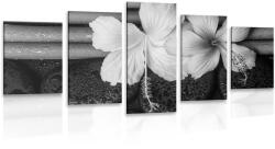 Dovido Tablou 5-piese wellness natura moartă în design alb-negru - 200x100