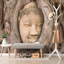 Dovido Fototapet Smochinul sacru al lui Buddha - 196x132