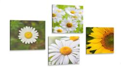 Dovido Set tablouri flori de luncă - 4x 40x40