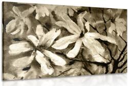 Dovido Tablou copacul de acuarelă înflorit în design sepia - 40x30