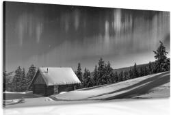 Dovido Tablou peisajul de iarnă de basm în design alb-negru - 40x30