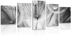Dovido Tablou 5-piese păpădie în design alb-negru - 200x100