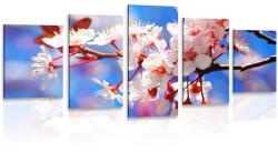 Dovido Tablou 5-piese floare de cireș - 200x100