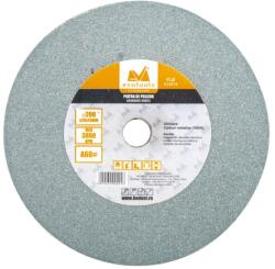 Evotools Piatra de Polizor VIDIA (615019)