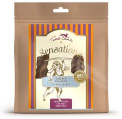 Terra Canis Terra Canis Sensations Chewy Champs Horse meat 100 g
