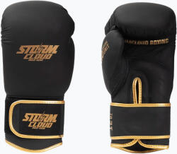 StormCloud Боксови ръкавици StormCloud Boxing Pro black/gold