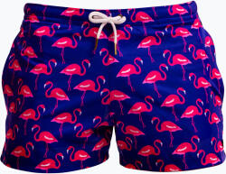 Funky Trunks Мъжки бански шорти Funky Trunks Shorty Shorts Short flocked up