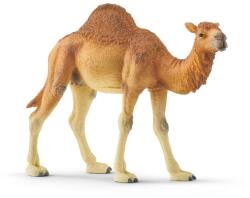 Schleich Animal - dromedar (102614832) Figurina