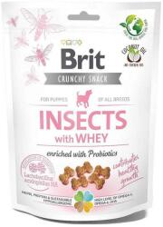 Brit Recompense pentru caini Brit Care Puppy Insect 200 gr