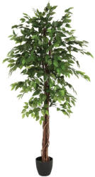 Atmosphera Créateur d'intérieur Ficus artificial Atmosphera cu ghiveci decorativ, 185 cm, verde (JJ-110341)
