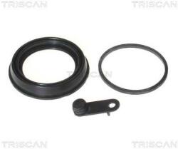 TRISCAN garnitura, piston etrier TRISCAN 8170 189974 (8170 189974)