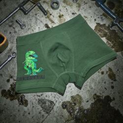 Aura Via Fiú boxer vidám dinó mintával keki, 4-6 év 117221