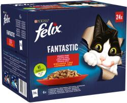 FELIX Fantastic macskaeledel vidéki ízek zselében 24 x 85 g