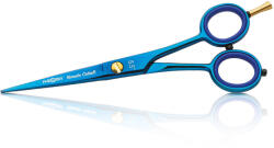 SalonTools mobilier, aparate și accesorii Foarfeca Iwasaki Yamato Cobalt 5, 5 (XS370858)