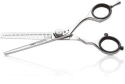 SalonTools mobilier, aparate și accesorii Iwasaki Executive Silver Fuji foarfeca de tăiat părul, 5, 5 inch, precizie și eleganță (XS400962)