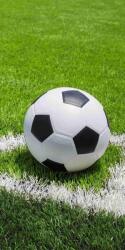 Jerry Fabrics Football 70×140 cm