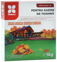 Diolsem Ingrasamant granulat pentru Gazon de Toamna (10-24-24) - 1 kg, Diolsem (PR-104372)