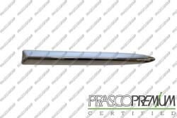 Prasco Elemente caroserie, Aripa, Bara protectie Bara protectie, piese Prasco FT0302104 (PRASCOFT0302104)