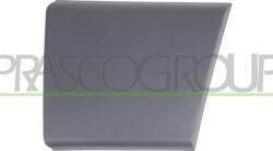 Prasco Trim, Protecție, Embleme Dungi decorative, de protectie Prasco FT9301406 (PRASCOFT9301406)