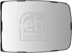 FEBI Bilstein Geamuri, Oglinzi Oglinzi FEBI Bilstein 180610 (FEBIBILSTEIN180610)