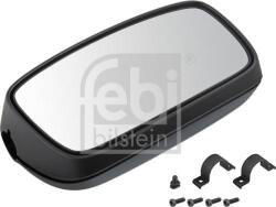 FEBI Bilstein Geamuri, Oglinzi Oglinzi FEBI Bilstein 49963 - compatibil 1689348 - FEBI Bilstein (FEBIBILSTEIN49963)