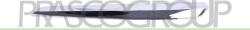 Prasco Trim, Protecție, Embleme Dungi decorative, de protectie Prasco MZ6041223 (PRASCOMZ6041223)
