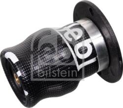 FEBI Bilstein Elemente caroserie, Aripa, Bara protectie Cadru auxiliar, Suport agregate FEBI Bilstein 102512 (FEBIBILSTEIN102512)