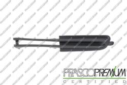 Prasco Elemente caroserie, Aripa, Bara protectie Bara protectie, piese Prasco BM0182124 (PRASCOBM0182124)