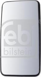 FEBI Bilstein Geamuri, Oglinzi Oglinzi FEBI Bilstein 100913 - compatibil Daf, Neoplan, Mercedes-Benz, Man - FEBI Bilstein (FEBIBILSTEIN100913)