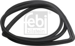 FEBI Bilstein Geamuri, Oglinzi Geamuri FEBI Bilstein 08867 - compatibil Mercedes-Benz - FEBI Bilstein (FEBIBILSTEIN08867)