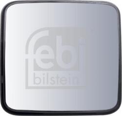 FEBI Bilstein Geamuri, Oglinzi Oglinzi FEBI Bilstein 100920 (FEBIBILSTEIN100920)