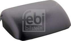 FEBI Bilstein Geamuri, Oglinzi Oglinzi FEBI Bilstein 49895 - compatibil Daf, Volvo, Renault - FEBI Bilstein (FEBIBILSTEIN49895)