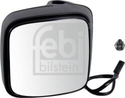 FEBI Bilstein Geamuri, Oglinzi Oglinzi FEBI Bilstein 107948 (FEBIBILSTEIN107948)