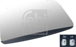 FEBI Bilstein Geamuri, Oglinzi Oglinzi FEBI Bilstein 107941 (FEBIBILSTEIN107941)