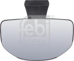 FEBI Bilstein Geamuri, Oglinzi Oglinzi FEBI Bilstein 100894 - compatibil Mercedes-Benz - FEBI Bilstein (FEBIBILSTEIN100894)