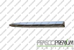 Prasco Elemente caroserie, Aripa, Bara protectie Bara protectie, piese Prasco FT0302103 (PRASCOFT0302103)