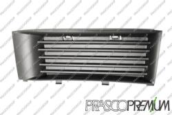 Prasco Elemente caroserie, Aripa, Bara protectie Bara protectie, piese Prasco SK3202124 (PRASCOSK3202124)