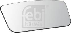 FEBI Bilstein Geamuri, Oglinzi Oglinzi FEBI Bilstein 100034 (FEBIBILSTEIN100034)