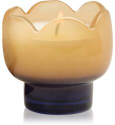 Paddywax Tulip Garden & Grove lumânare parfumată 155 g