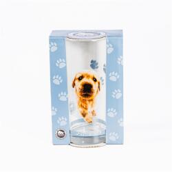 Pahar de sifon, Golden Retriever (04327)