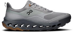 On Încălțăminte outdoor pentru bărbați Cloudhoriz 2 Alloy/Rock EUR 42, 5