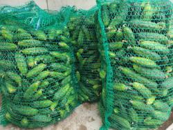  Földi Kovászolt Uborka 1kg - Lengyel Friss