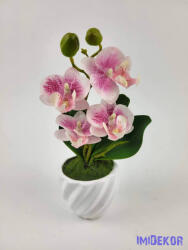  Cserepes gumi orchidea 22 cm - Fehér Cirmos