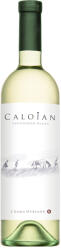 Oprisor Crama Oprisor - Caloian Sauvignon Blanc 2025 - 0.75L, Alc: 13.5%