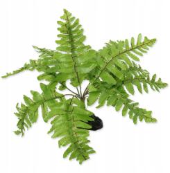 Repti Planet Dekorációs Páfrány Növény Nephrolepis 20cm (paproc3)