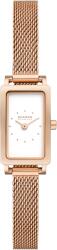 Skagen SKW3095 Ceas