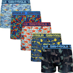 Gianvaglia 5PACK férfi boxeralsó Gianvaglia többszínű (GVG-5066) M